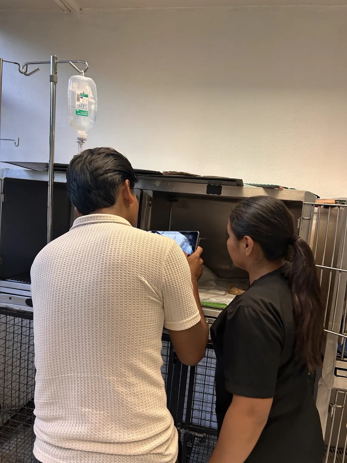 Equipo utilizando software durante una actividad de seguimiento animal en la UABJO
